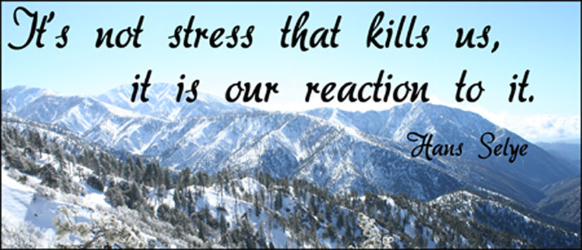 Quote about Stress